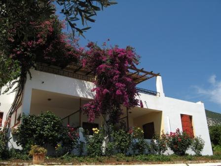 Hotel Heleni Apartments Epidaurus Exteriör bild